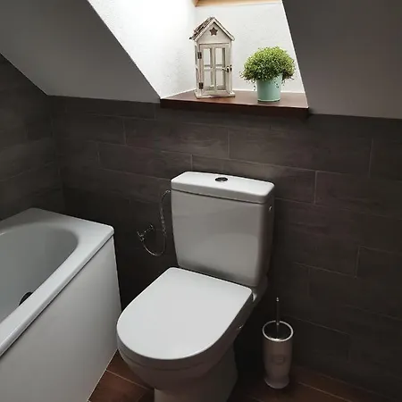 Včelárik * Nova Bana