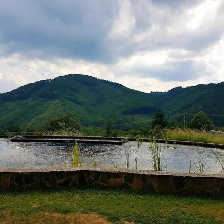 Včelárik * Nova Bana