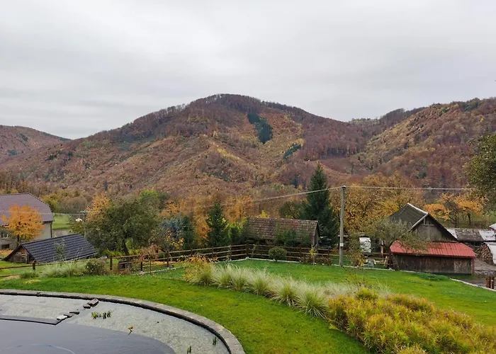 Vcelarik 新巴尼亚