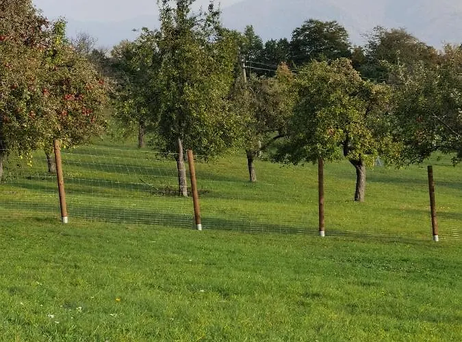 Vcelarik 新巴尼亚